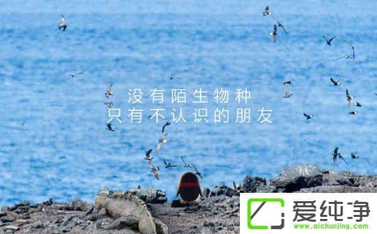 QQһMΚvvӍl(f)QQ XӋ