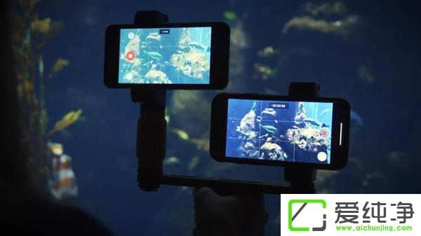 ȸPixel 2iPhone XIĂiPhone XPixel 2չ܌uy