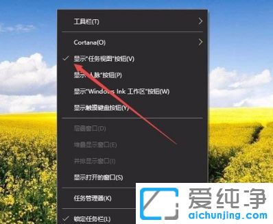 Win10ϵyô½