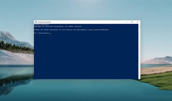 Windows 11ϵy(tng)RͻȻй©׃