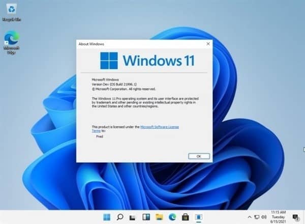 Windows 11ϵy(tng)΢ܛ2025Win 10fҊ