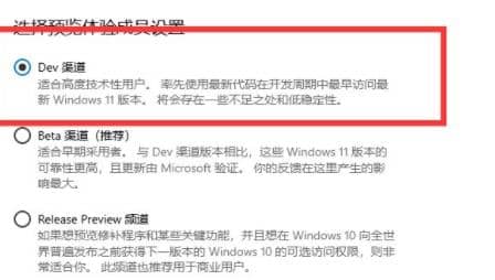 個人用戶怎么通過DEV渠道升級Windows11