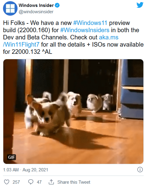 ȶrׂWindows 11 ISORl(f)