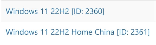 Win11 22H2ʽ́ISOd朽й¶