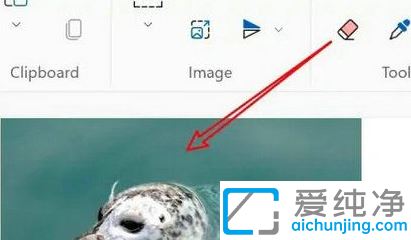 win11Dô׃DƬС_win11Dô{DƬС