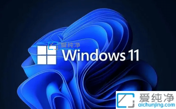 win11系統(tǒng)business和consumer區(qū)別_win11消費(fèi)者版和商業(yè)版有什么區(qū)別