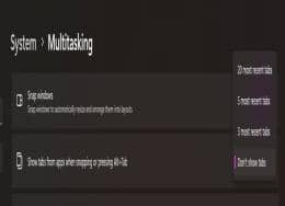 {(dio)Win11Alt+Tabֻ֧ГQ20(g)(bio)