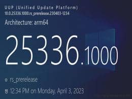 Win11 Build 25336 A(y)[l(f)Snap  20 (bio)x