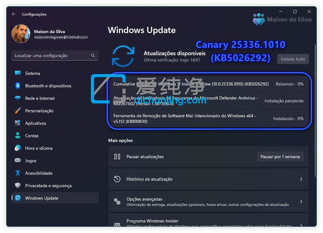 Win11 Canary Build 25336.1010 A(y)[棺Ho