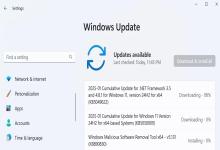 Win11ϵy(tng)@ 2025 ׂ(g)۷e£ޏ(f) BUG(yu)w(yn)
